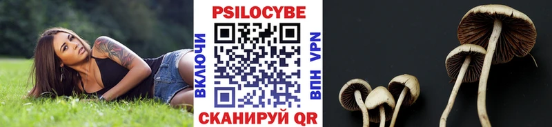 Купить где  Чишмы  Галлюциногенные грибы GOLDEN TEACHER 
