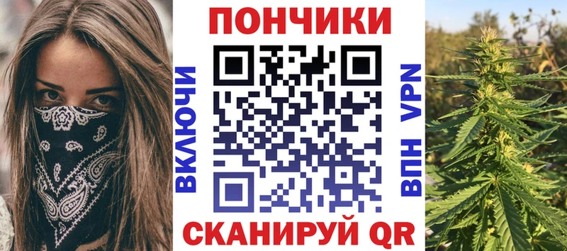 Каннабис планчик  Купить где  Чишмы 